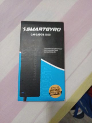 Cargador Smart Gyro 4800