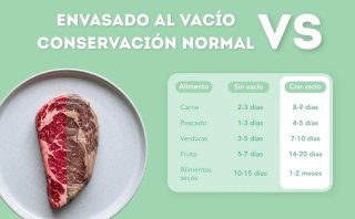 Envasadora al Vacío Profesional Rayisa