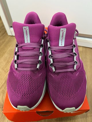 Nike Air Pegasus 41 Morado/Plata