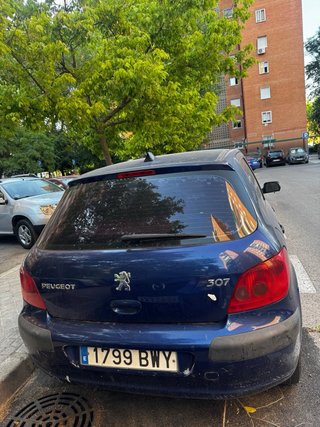 Peugeot 307 2002