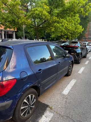 Peugeot 307 2002