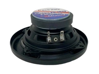 COPPIA CASSE ALTOPARLANTI AUTO 250W 10CM 2 VIE