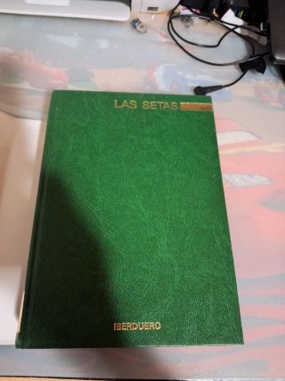 Las setas iberduero