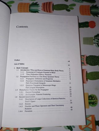Quantum Theory of Many-Body Systems Techniques ...