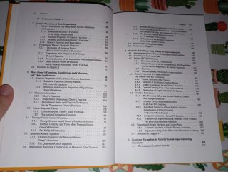 Quantum Theory of Many-Body Systems Techniques ...