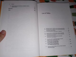 Quantum Theory of Many-Body Systems Techniques ...