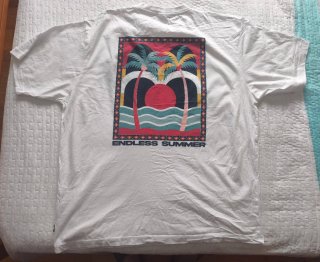 Pack 2 Camisetas Springfield Talla XXL.