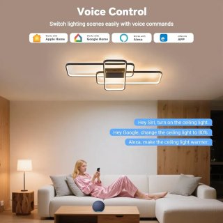 Lámpara Techo LED 80W Alexa Negra/Dorada