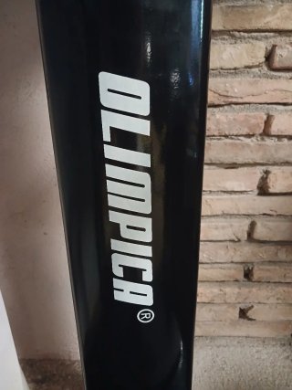 Plataforma Vibratoria Olímpica
