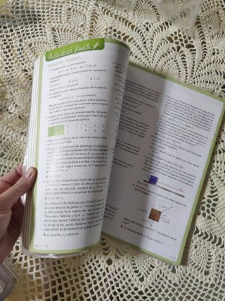 Física i Química Mediterrània : 4t ESO