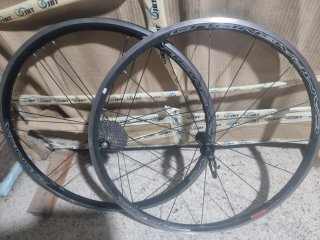 Ruedas Campagnolo Zonda C17
