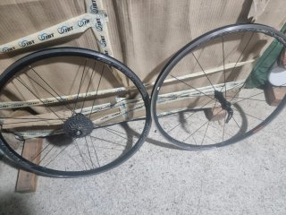 Ruedas Campagnolo Zonda C17