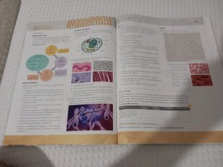 Biología y Geología 3°eso. Trimestre 1,  2 y 3.