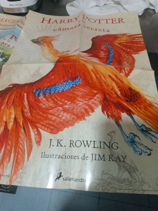 Lote 10 Posters Harry Potter Ilustrado