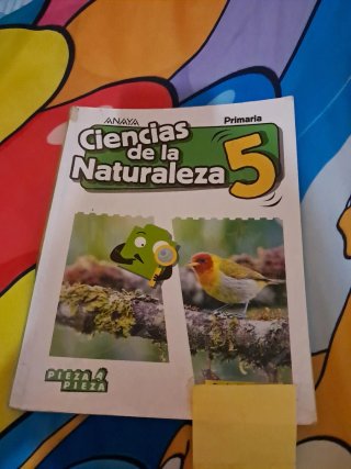 Libro ciencia sociales y naturales 5 primaria
