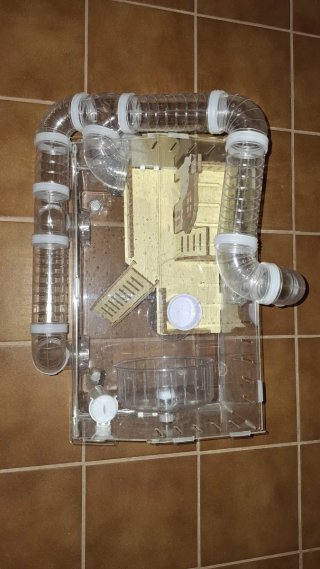 Jaula Hamster Transparente con Tubos
