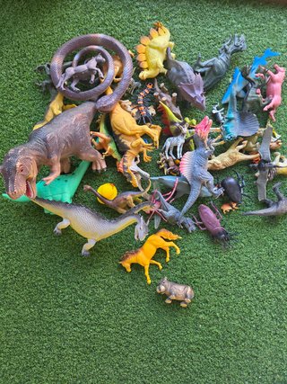 Dinosaurios y animales variados