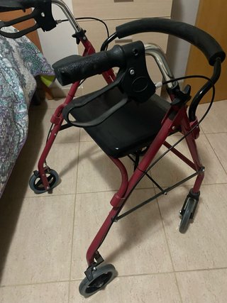 Andador con Asiento y Ruedas