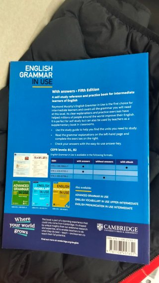 English grammar in use