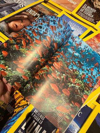 revistas de national geographic
