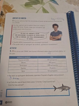 Matemàtiques 4 educació primària