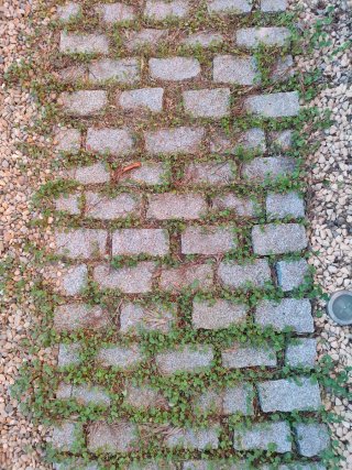 Adoquines de granito gris 20x10x10
