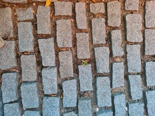 Adoquines de granito gris 20x10x10