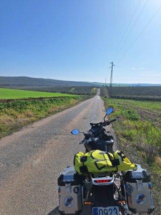 Despiece MH Tray 125cc