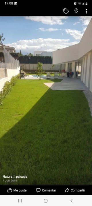 Jardineros. Todo tipo de trabajos jardin.
