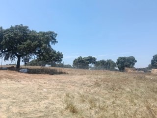 Parcela de 1600metros