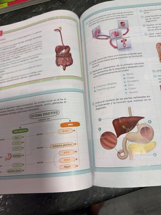 Biología y Geología. 3 Secundaria. Revuela. Cas...
