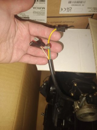 Motor DL4 Rieju (NUEVO)