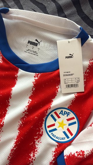 Paraguay Mundial 2026