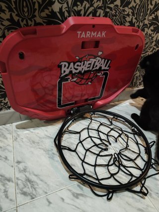Canasta Baloncesto Tarmak Roja