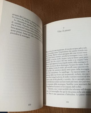 Libro "la montagna vivente"