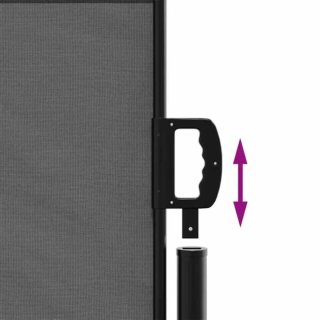 Toldo Lateral Retráctil 5x1,2m Antracita