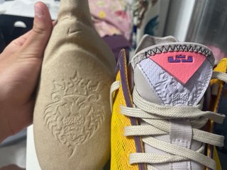 Nike Lebron XIX Low