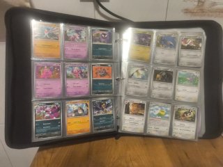 Cartas Pokémon no Holo