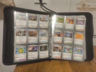 Cartas Pokémon no Holo