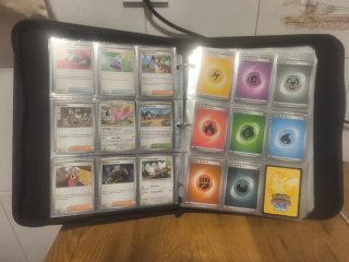 Cartas Pokémon no Holo