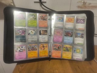 Cartas Pokémon no Holo