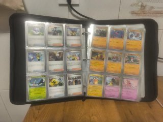 Cartas Pokémon no Holo