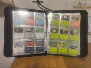 Cartas Pokémon no Holo