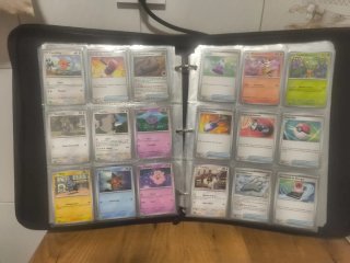 Cartas Pokémon no Holo
