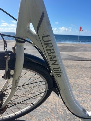 Bicicleta Urbana de mujer