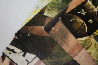Tarzán Furia Salvaje Fotogramas Sala