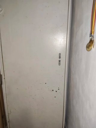 Puerta de hierro