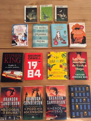 Lote libros Sanderson, Stephen King, 1984 y novela