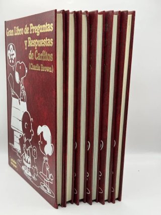 Gran libro de preguntas y respuestas de Carlitos