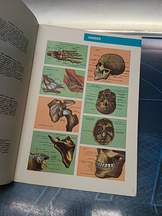 CONOCE EL CUERPO HUMANO, CARTILLA ESCOLAR, nº1 , EDI CULTURA Y PROGRESO, 1980